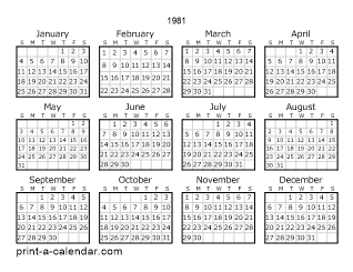 1981 Yearly Calendar | One page Calendar